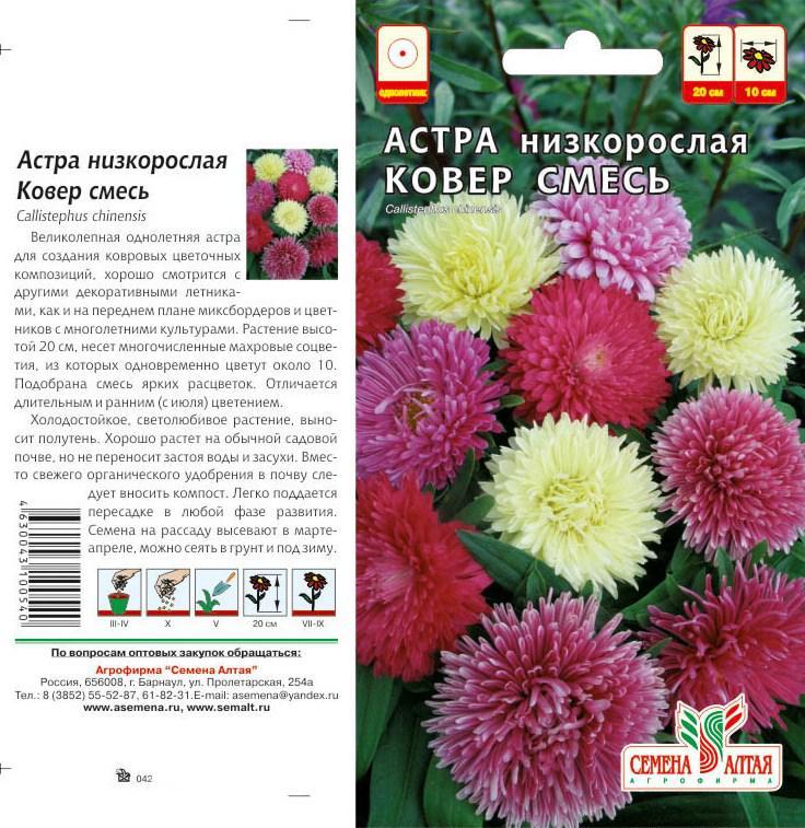 Купить Семена Новобельгийской Махровой Низкорослой Астры
