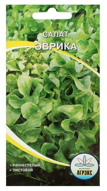 Купить Семена Салата На Озоне