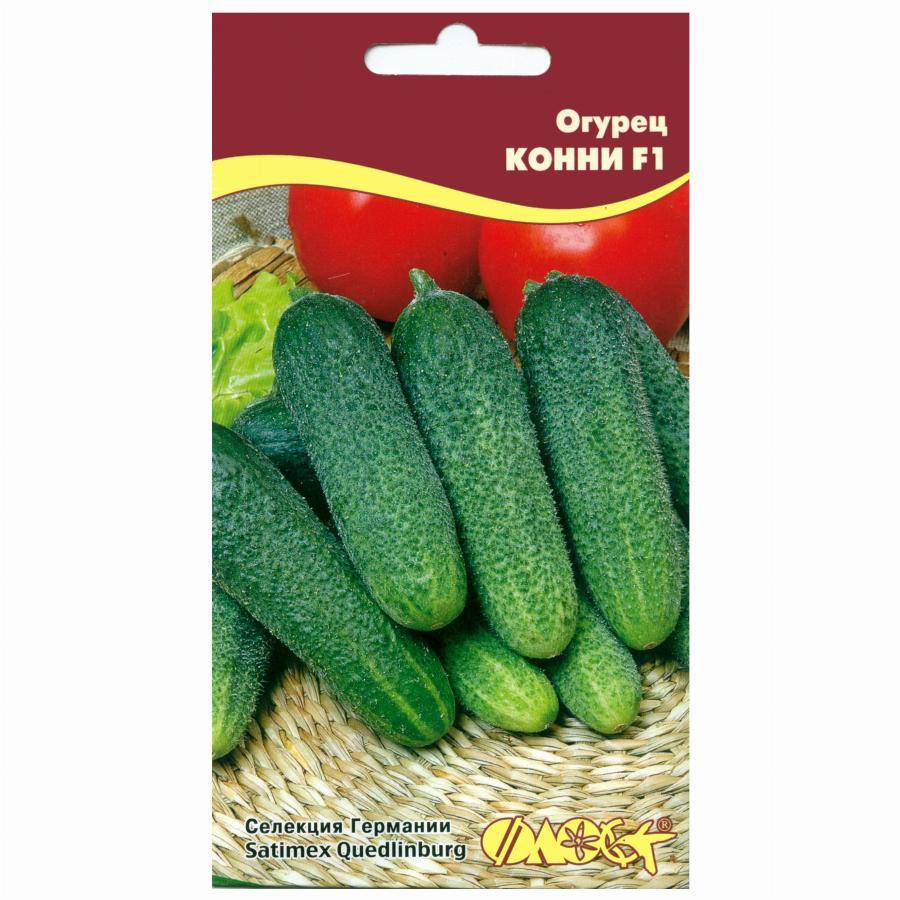 Огурец сорт конни. Огурец сорт конни