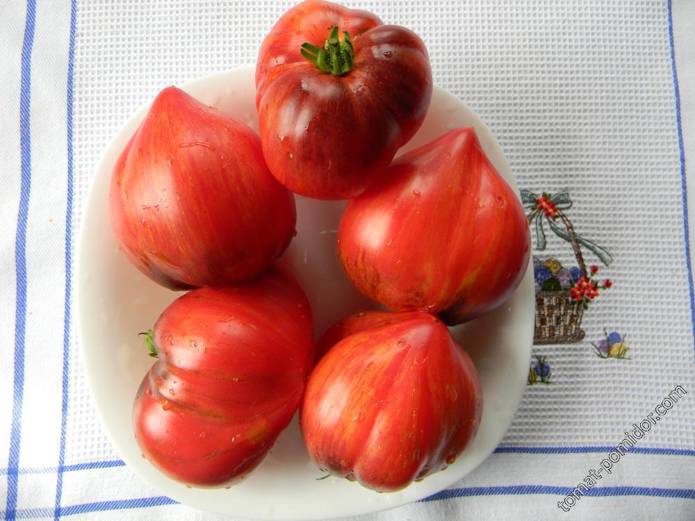 Томаты разбитое сердце описание сорта. Томат дробленое сердце. Томат разбитое сердечко описание сорта. Томаты разбитое сердце описание сорта. Сорт томата дробленое сердце.